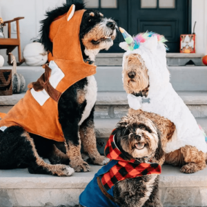 LazyOne-dog-costumes